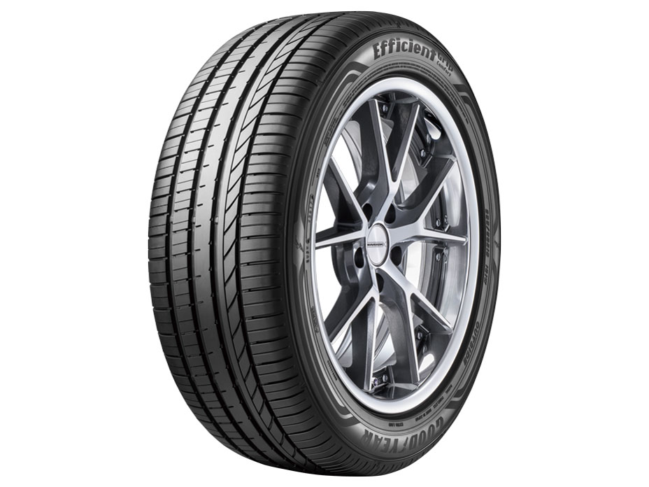 EfficientGrip Comfort 195/45R17 81W