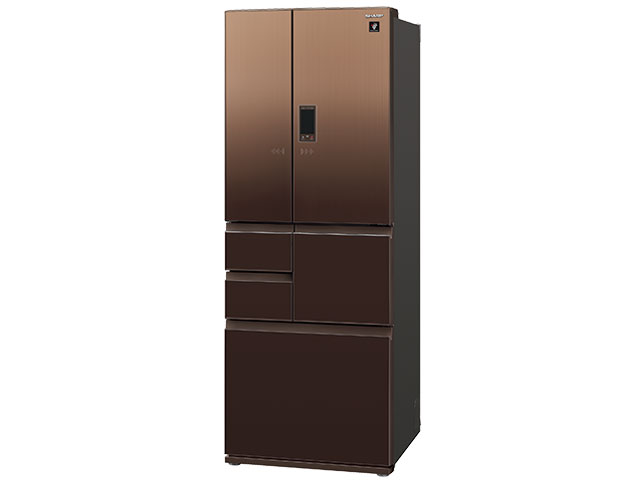 SJ-GA55E-T [�G���K���g�u���E��]