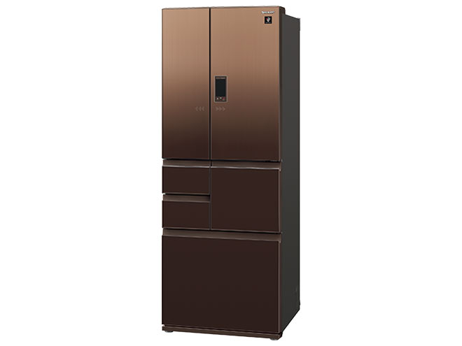 SJ-GA50E-T [�G���K���g�u���E��]