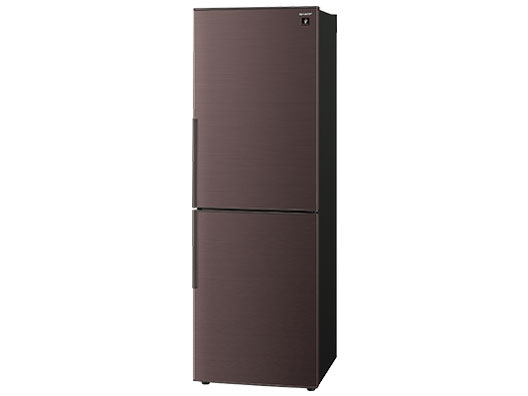 SJ-PD31E-T [�u���E���n]