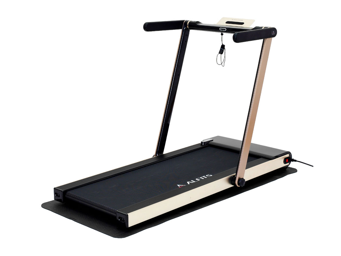 �t���b�g�W���O AFR1619PG [�v���~�A���S�[���h] �̐��i�摜