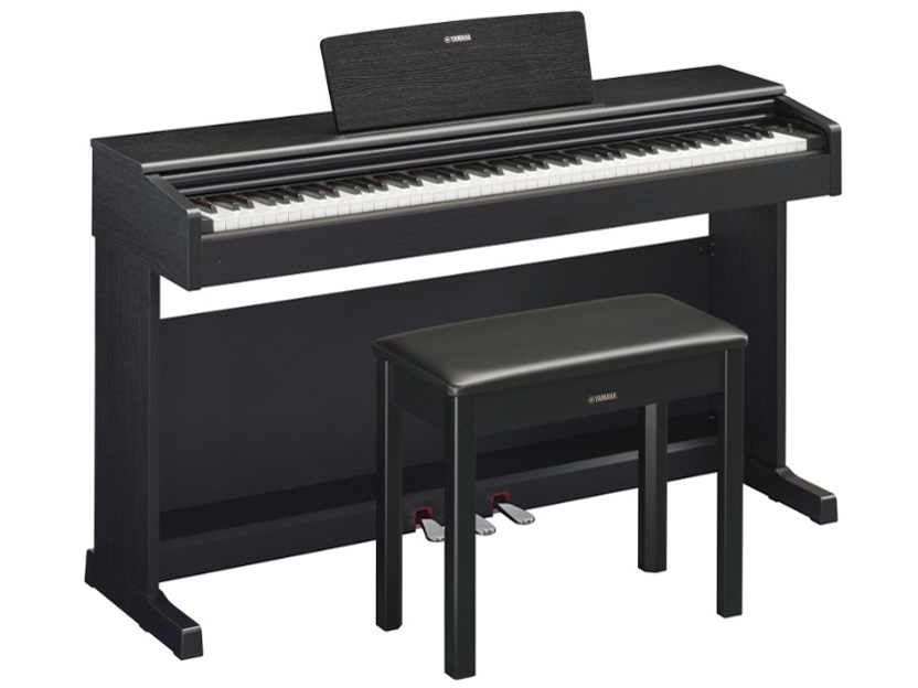 ARIUS YDP-144B [�u���b�N�E�b�h��] �̐��i�摜