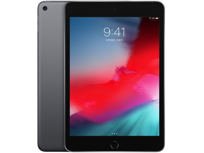 iPad mini ５世代 スペースグレイ WiFiモデル Apple iPad mini 7.9インチ 第5世代 Wi-Fi 256GB 2019年春モデル