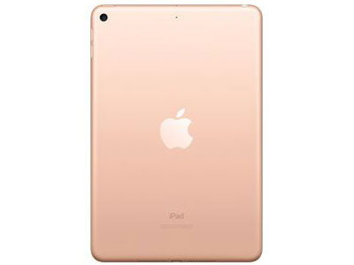iPad mini 7.9�C���` ��5���� Wi-Fi 256GB 2019�N�t���f�� MUU62J/A [�S�[���h]