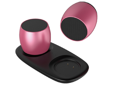 BL-TWS_SPEAKER BL-89 [���[�Y�S�[���h] �̐��i�摜