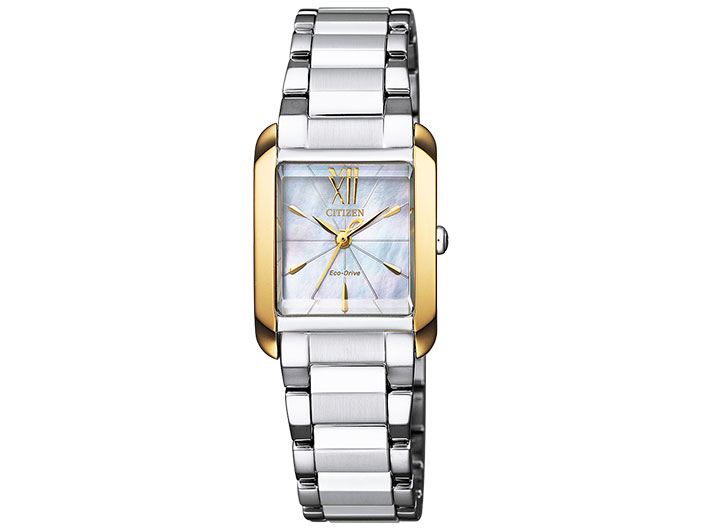 �V�`�Y�� �G�� EW5558-81D �̐��i�摜