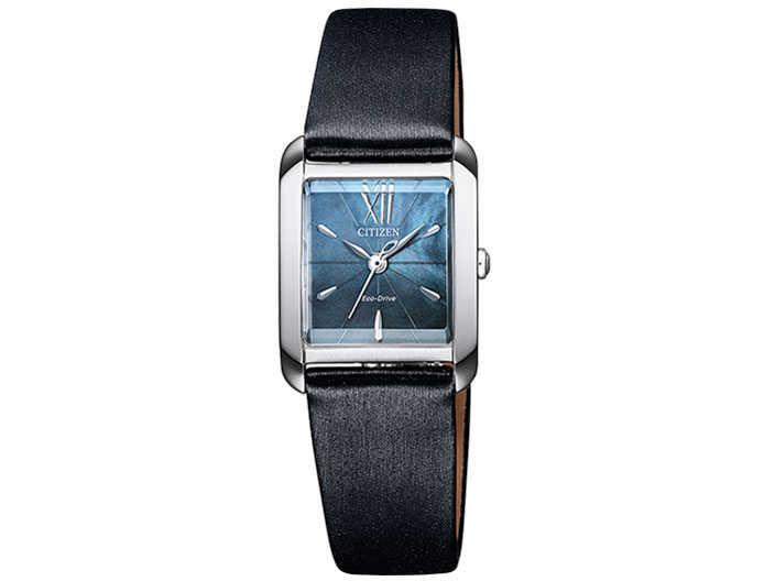 �V�`�Y�� �G�� EW5557-17N �̐��i�摜