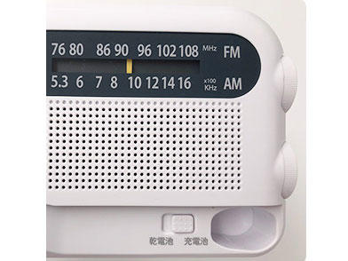 �L�����I�� YTM-R100