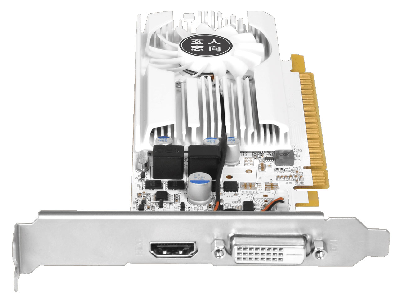 価格.com - 『本体3』 GF-GT1030-E2GB/LP/D5 [PCIExp 2GB] の製品画像