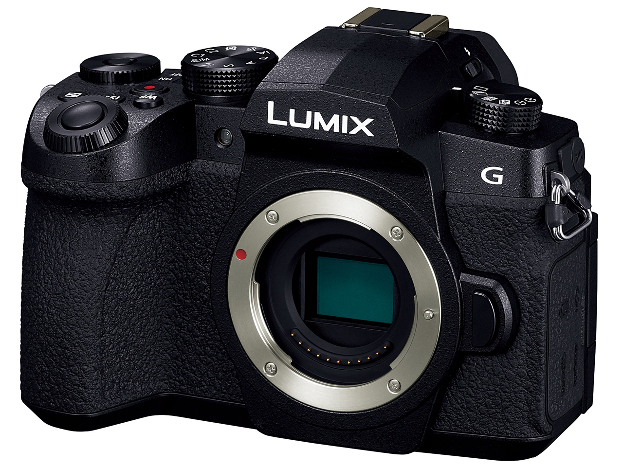 LUMIX DC-G99 �{�f�B