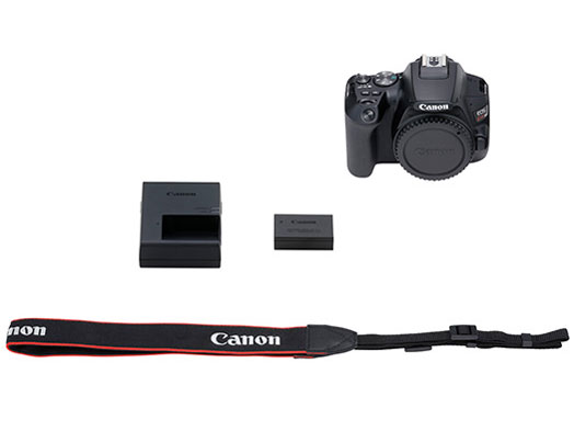 EOS Kiss X10 �{�f�B