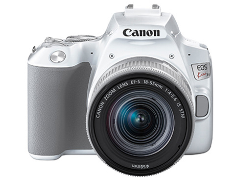 EOS Kiss X10 EF-S18-55 IS STM �����Y�L�b�g [�z���C�g]