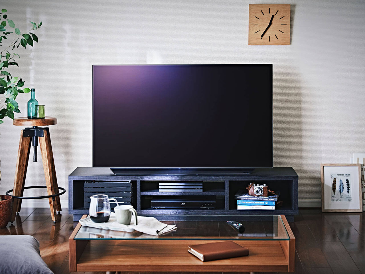 OLED55C9PJA [55�C���`]