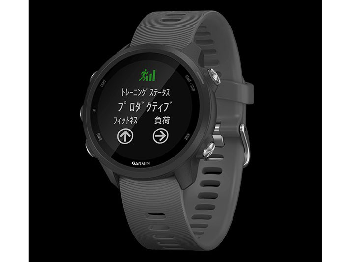 ForeAthlete 245 010-02120-42 [Black Slate]