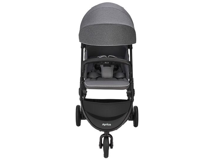 �C�[�W�[�E�o�M�[ [�O���[]