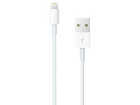 �w�t���i �t���i USB�P�[�u���x iPod touch MVHT2J/A [32GB �S�[���h] �̐��i�摜