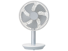 DF-T1916WH [�z���C�g] �̐��i�摜