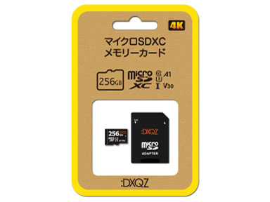 �FDXQZ DDMS256G02 [256GB] �̐��i�摜