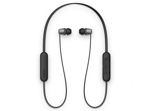 WI-C310 (B) [�u���b�N]