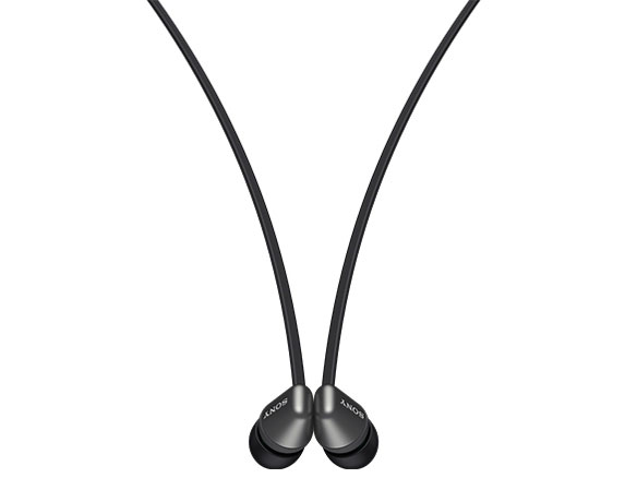 WI-C310 (B) [�u���b�N]