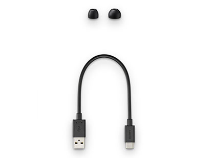 WI-C310 (B) [�u���b�N]