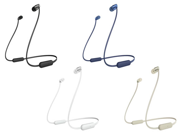 WI-C310 (B) [�u���b�N]