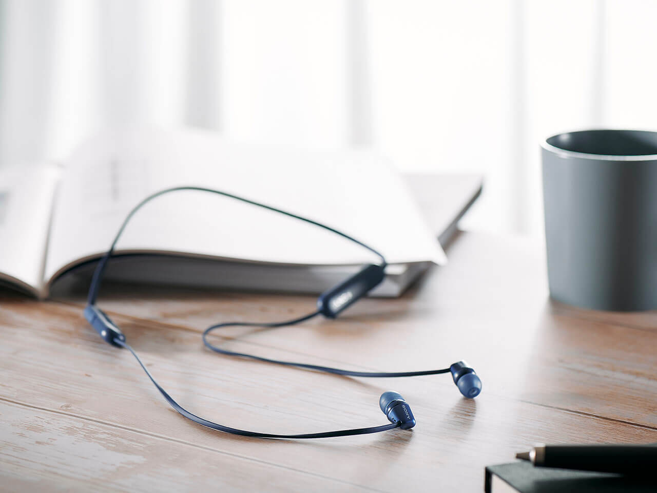 WI-C310 (L) [�u���[]