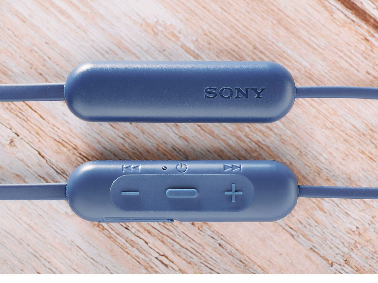 WI-C310 (L) [�u���[]