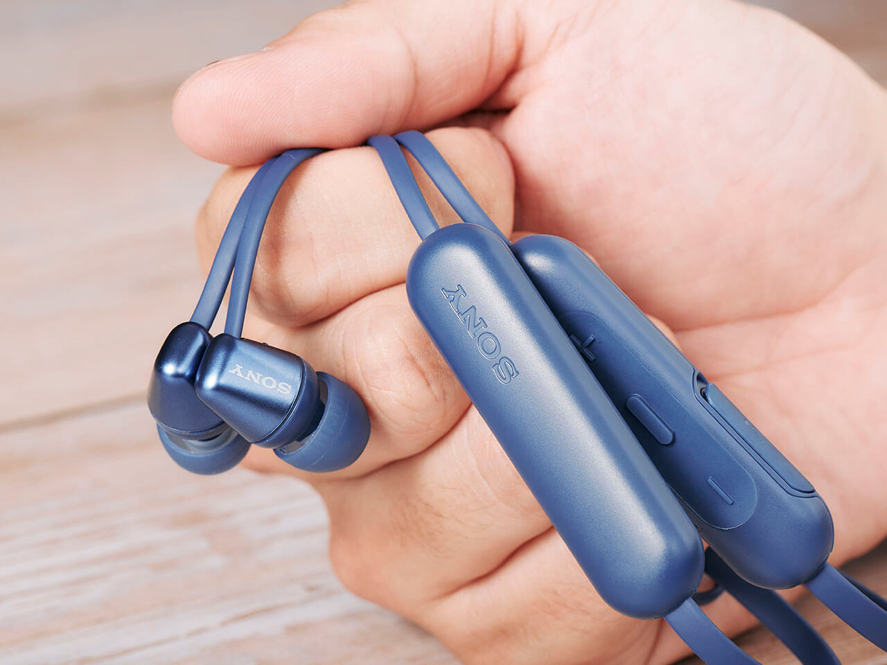 WI-C310 (L) [�u���[]