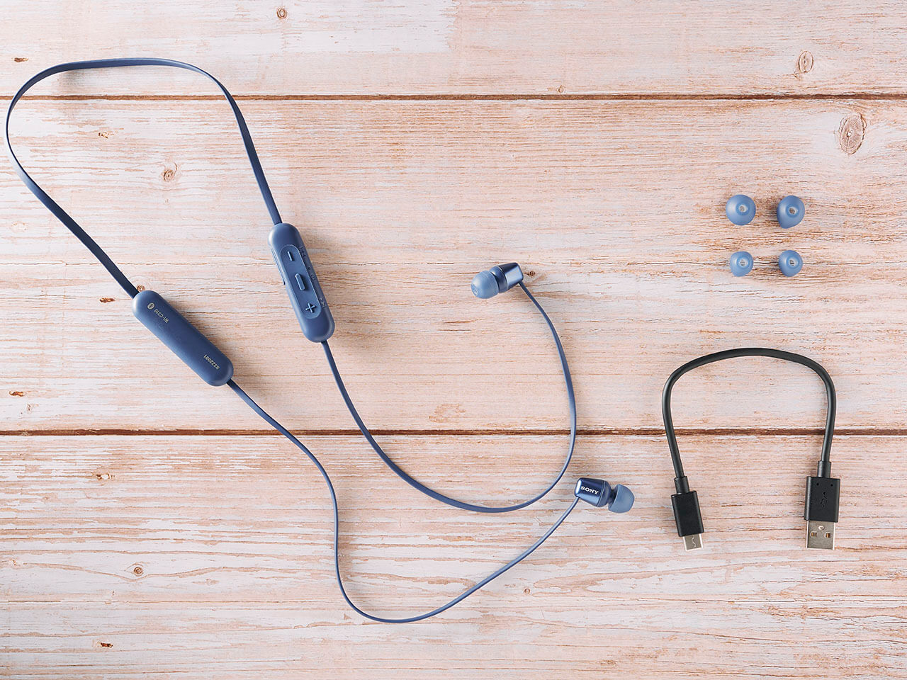 WI-C310 (L) [�u���[]