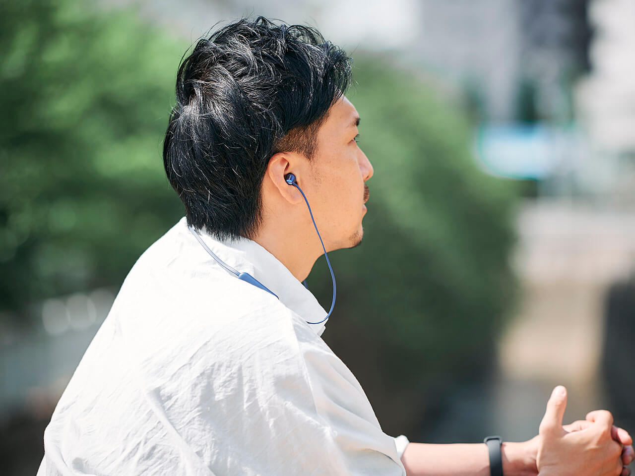 WI-C310 (L) [�u���[]