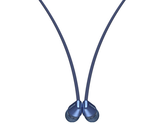 WI-C310 (L) [�u���[]