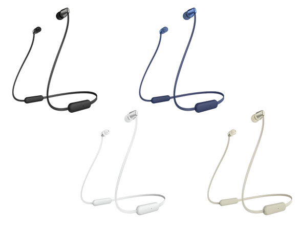 WI-C310 (L) [�u���[]