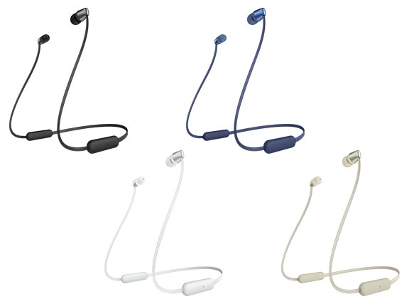 WI-C310 (W) [�z���C�g]