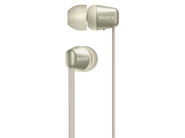 WI-C310 (N) [�S�[���h]