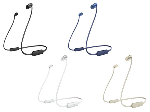 WI-C310 (N) [�S�[���h]