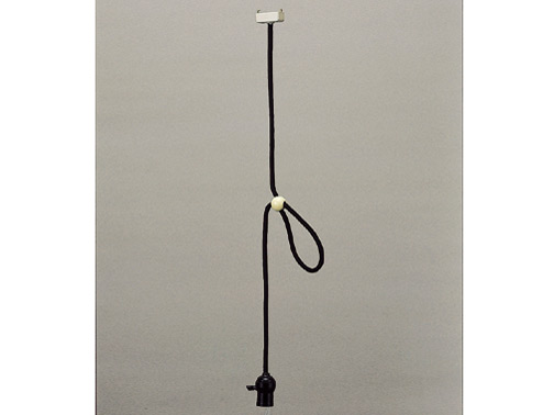 CK-1Z �̐��i�摜