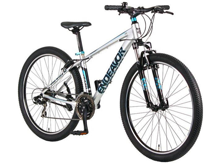 �G���f�o�[ G [�V���o�[] �̐��i�摜