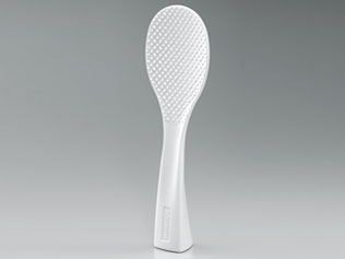 �ɂߐ��� NP-ZT10