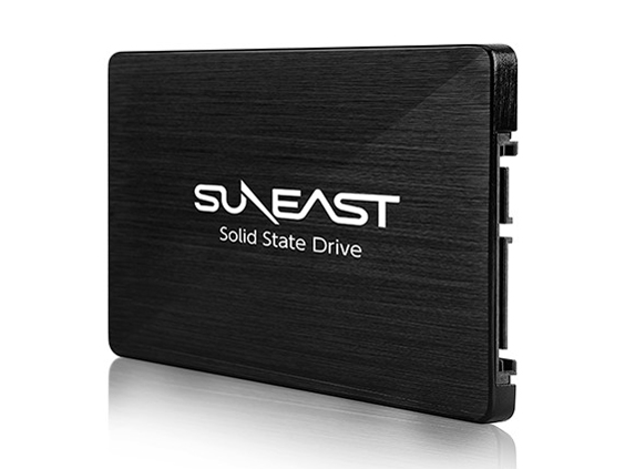SUNEAST SE800-1TB
