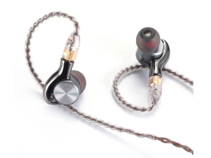 PAI-DM1