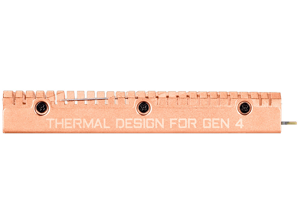 AORUS GP-ASM2NE6500GTTD