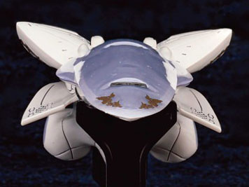 ��͉p�Y�`�� ��͒鍑��� �u�������q���g