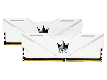 GALAX HOF4CXL3BST4000M19SF162CL [DDR4 PC4-32000 8GB 2���g] �̐��i�摜