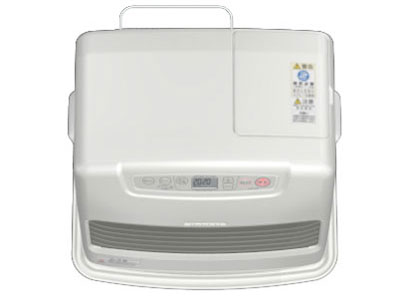 FW-4219S(S) [���C�g�V���o�[]