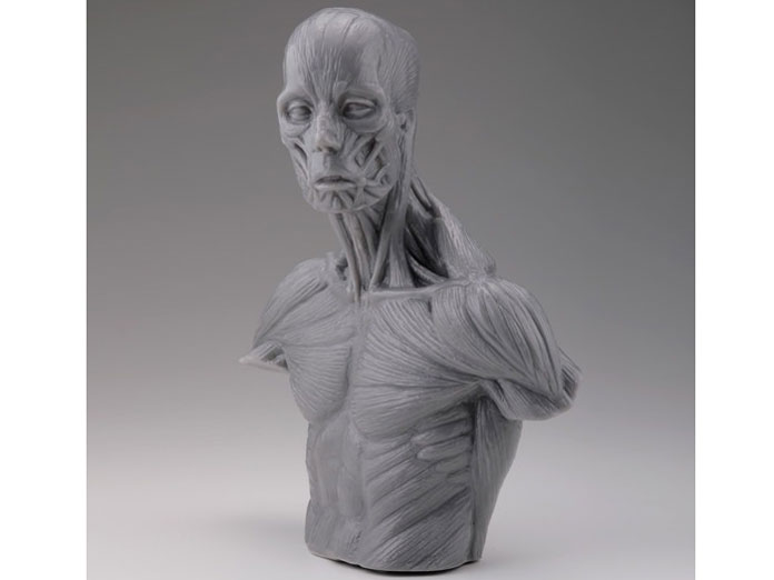 �A�i�g�~�[����