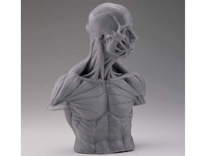 �A�i�g�~�[����