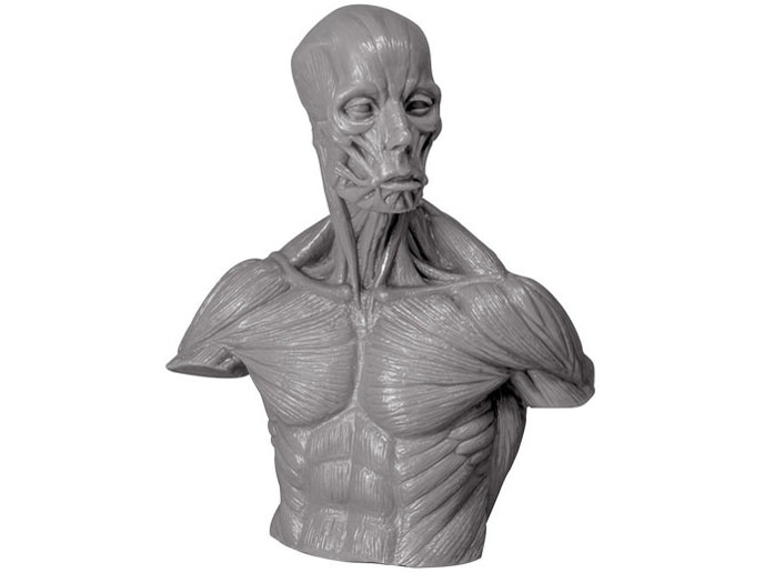 �A�i�g�~�[���� �̐��i�摜