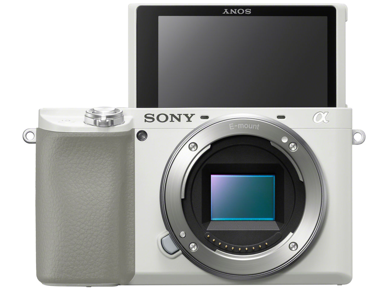 ��6100 ILCE-6100 �{�f�B [�z���C�g]