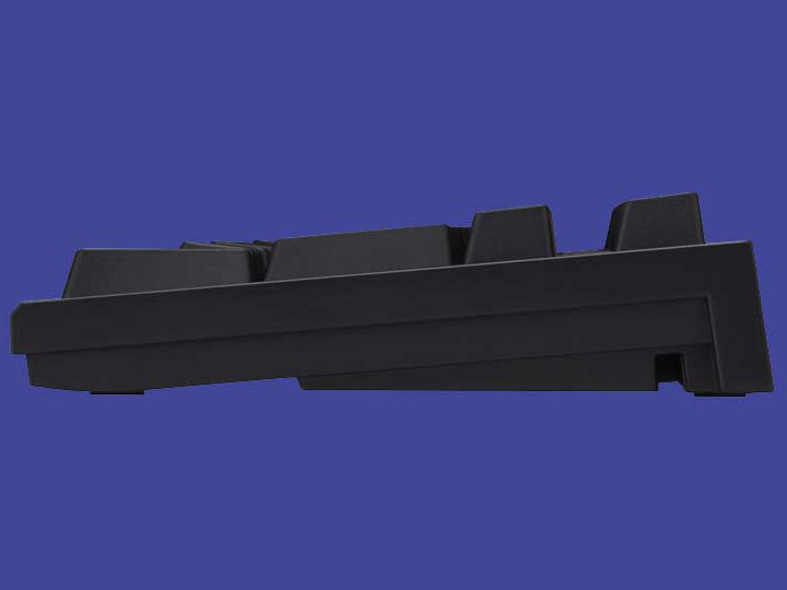 REALFORCE RGB R2A-JP4G-BK